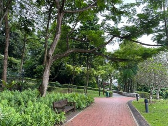 Lush and humid botanical gardens at Fort Canning