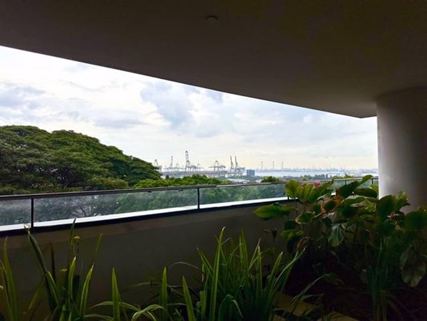 Singapore is a maritime power, enveloped by docks and cranes