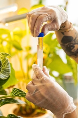 Plant-based Medicine