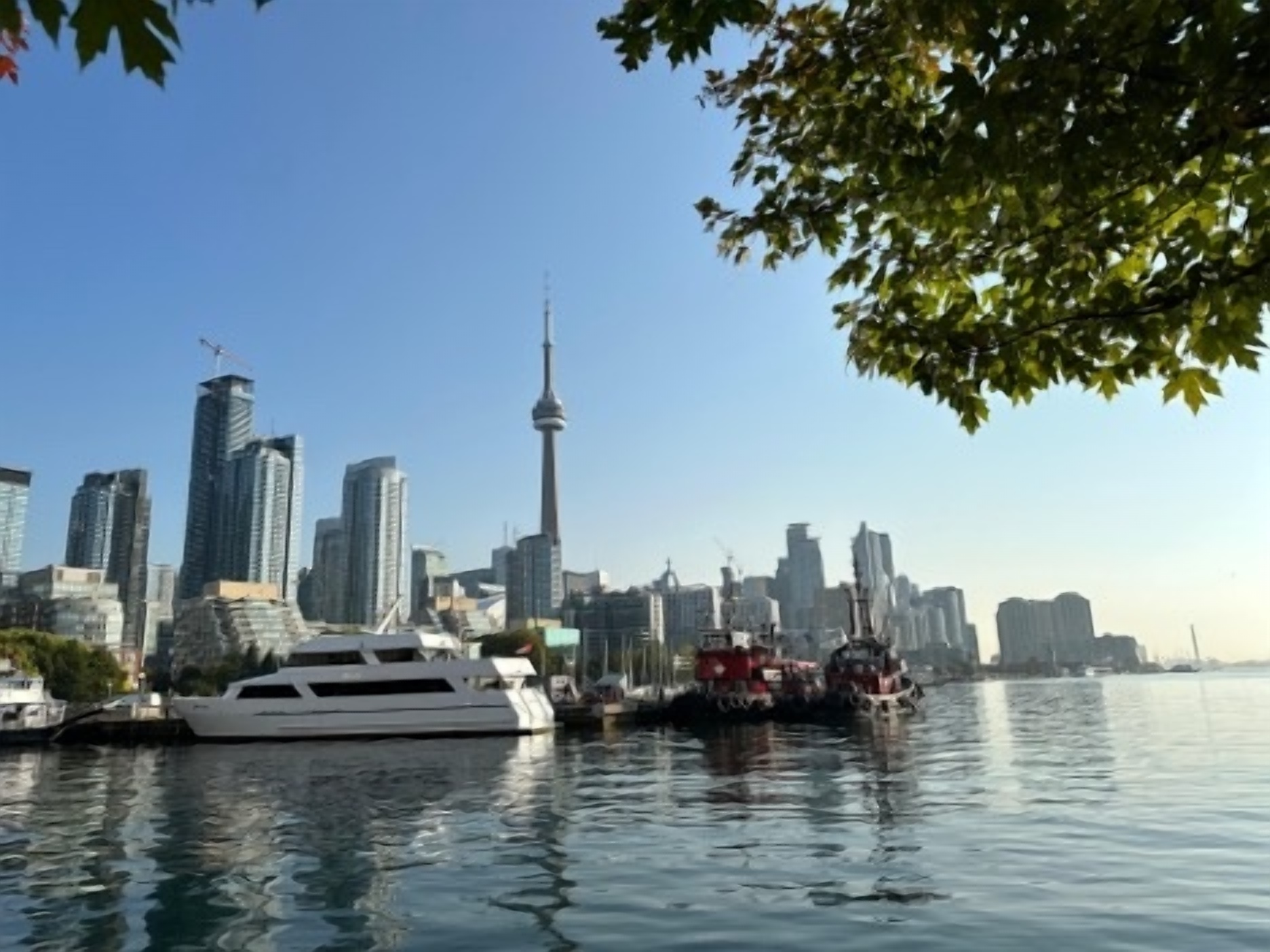 Photograph depicting the Toronto skyline  width: 1034px;